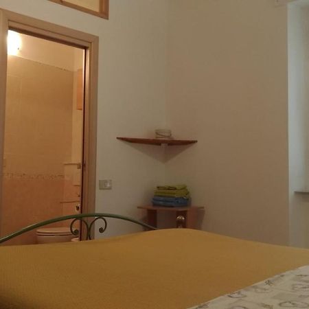 Cisanello Guesthouse ピサ エクステリア 写真